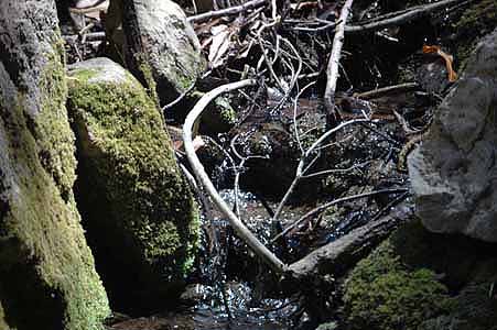 Mill Creek 063.jpg